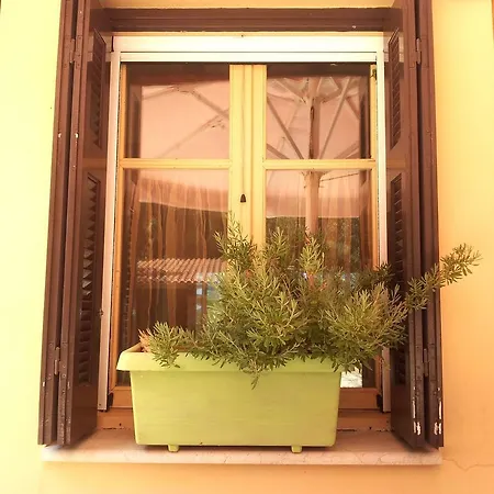 Mazourka Apartament Stavros (Ithaka)