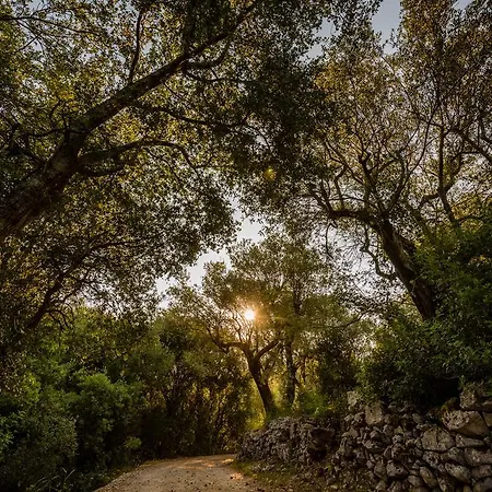 Mazourka * Stavros (Ithaka)