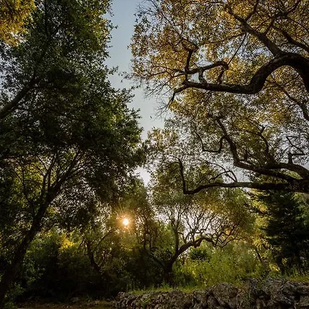 Mazourka Stavros (Ithaka)